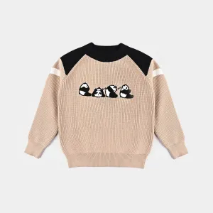 Boys Knitted Sweater- Beige