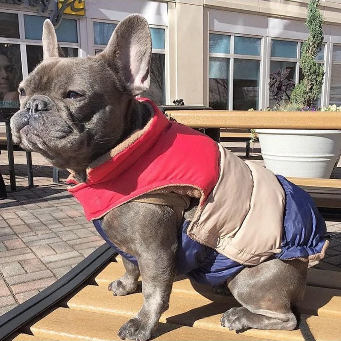 Fabdog | Red/Tan/Navy Colour Block Dog Puffa Jacket