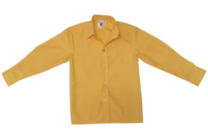 Long-sleeve Raised Collar Shirt - Gold