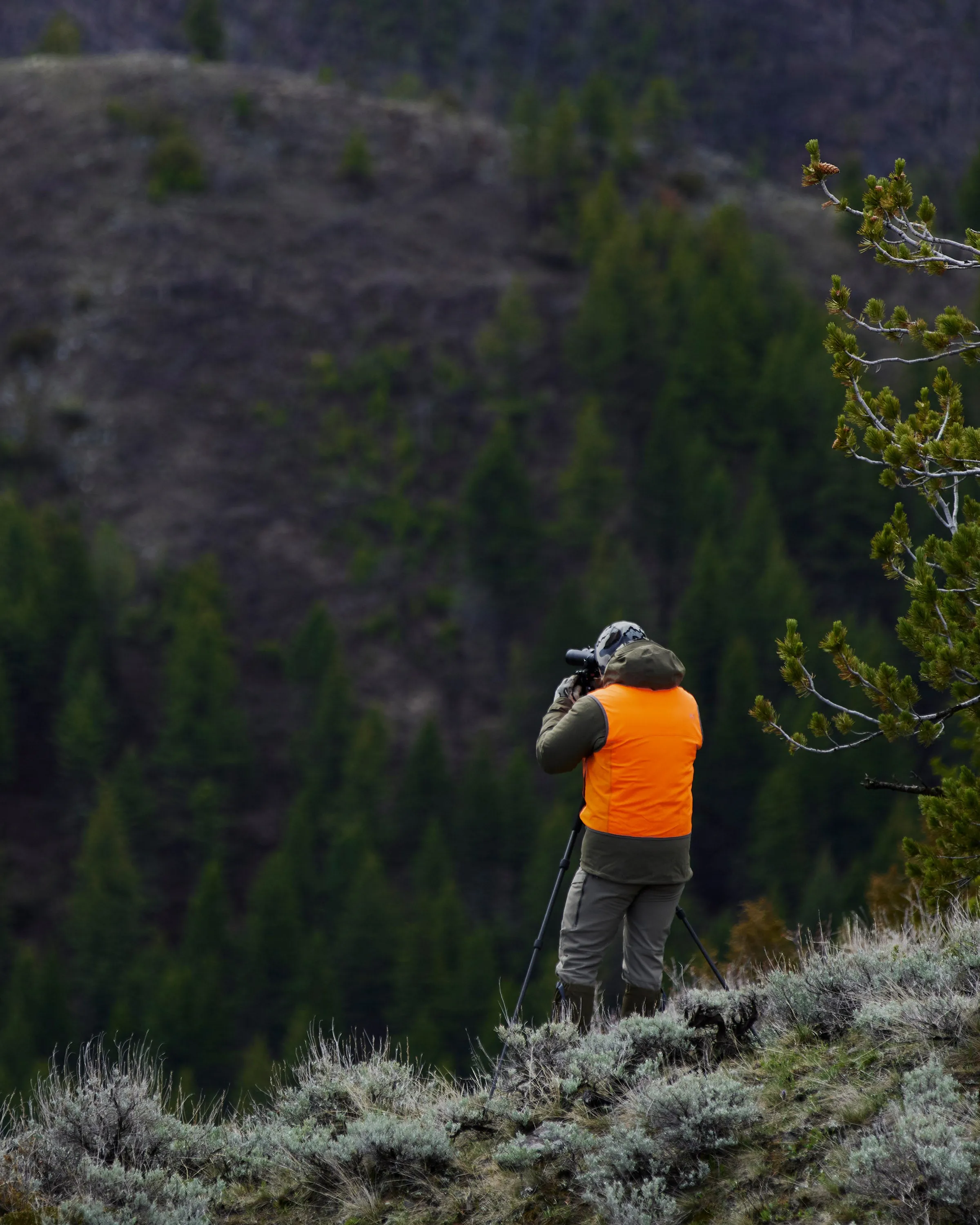 Precision Hunter Vest | Blaze Orange