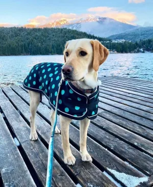 Shedrow K9 Glacier Dog Coat - Black with Teal Polka Dots (small) SALE